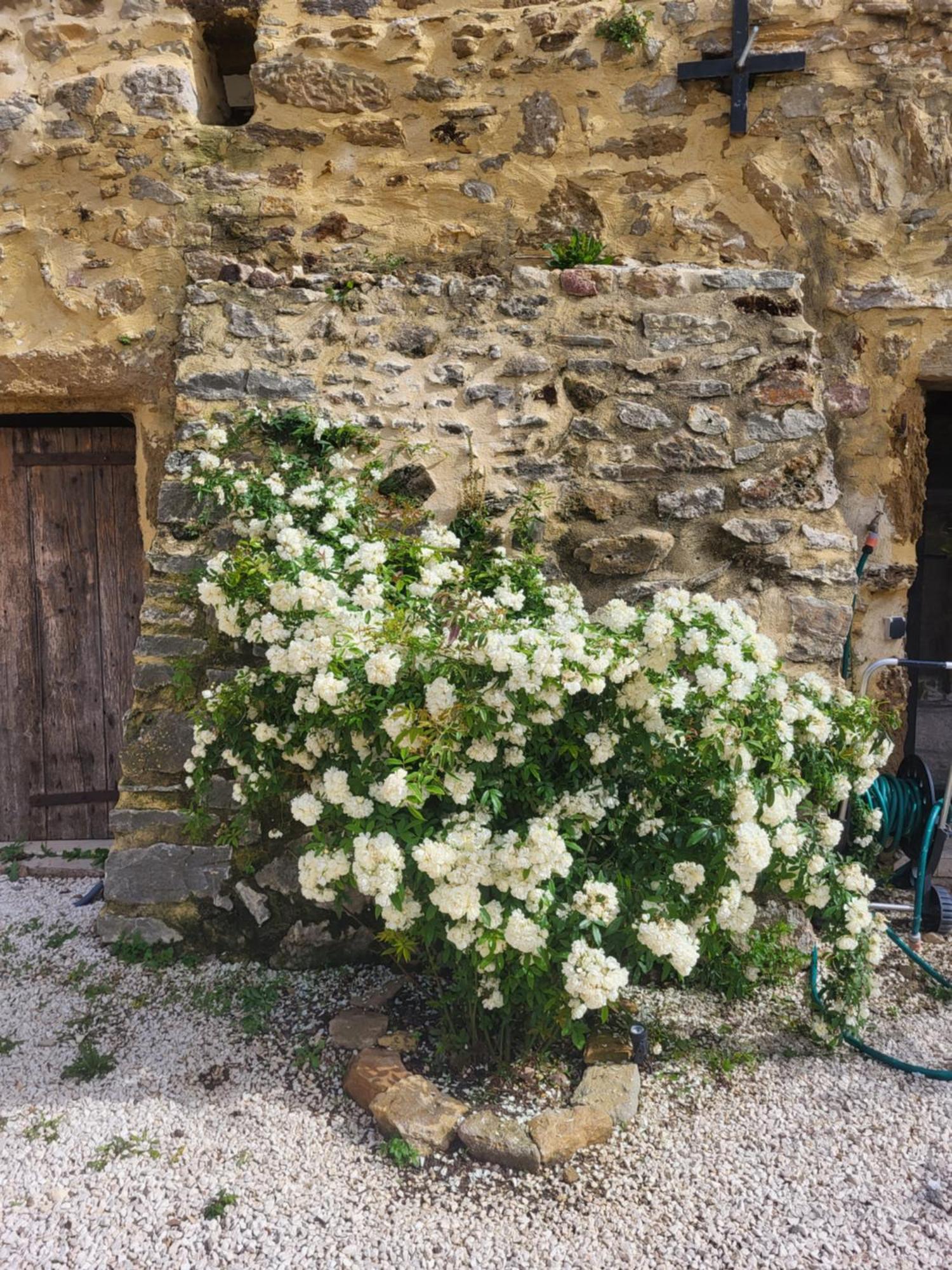 Bastide De La Madeleine Bed and Breakfast Pougnadoresse Buitenkant foto
